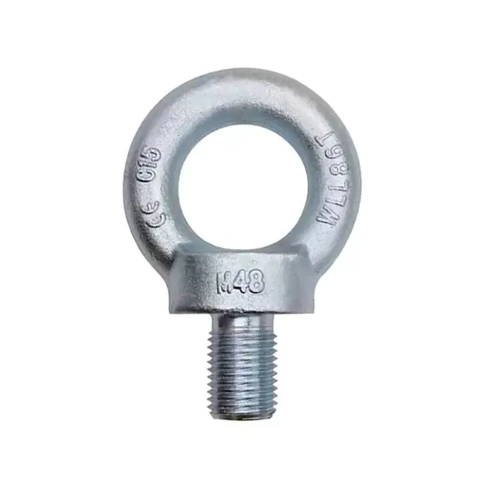 Hook & Eye Bolts